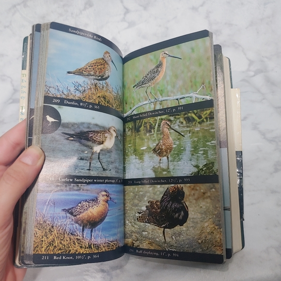 Vintage Bird Field Guide - Picture 8 of 13
